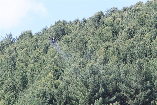 临江林业局:无人机喷药防虫大显身手(图1) 临江林业局:无人机喷药防虫大显身手(图1)